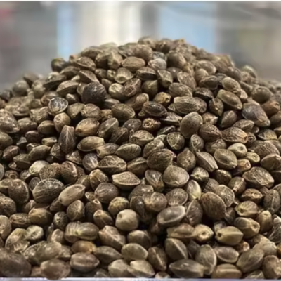 Hemp Seed Oil